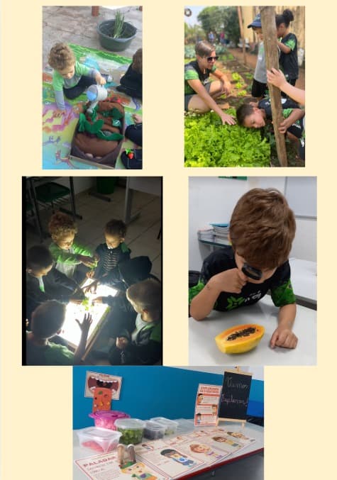 Imagem de capa do projeto Nutrar