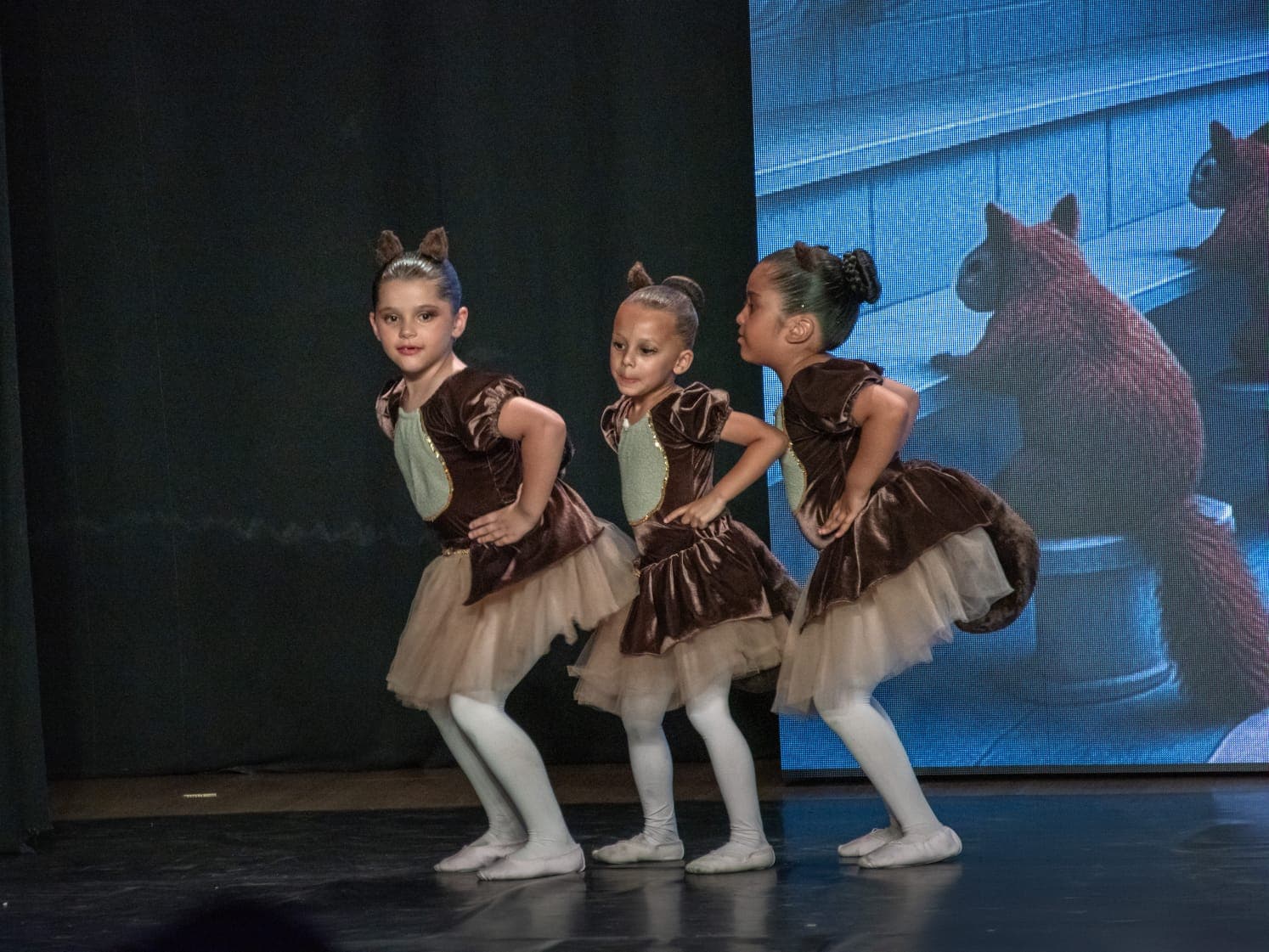 Registro 4 do projeto Projeto de Balé - Stúdio DH Dance